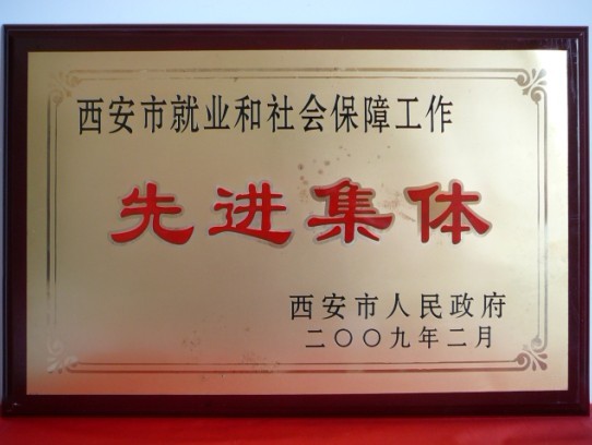 2009年2月，被西安市政府評為西安市就業(yè)和社會保障工作先進集體