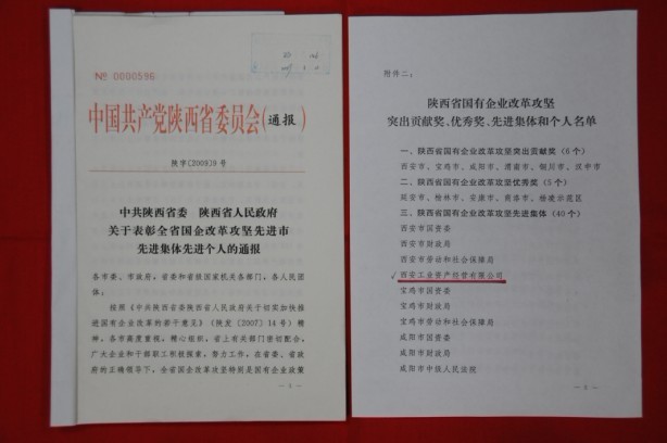 2009年2月，被陜西省委、省政府授予陜西省國有企業(yè)改革攻堅先進集體